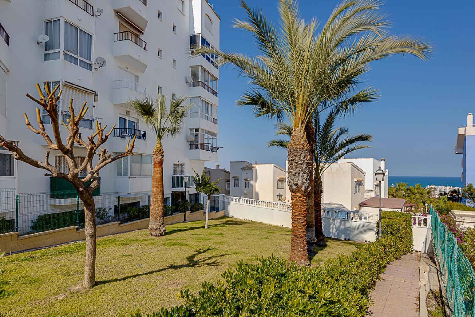 Estudio Jardin Del Mar Torrevieja Extérieur photo